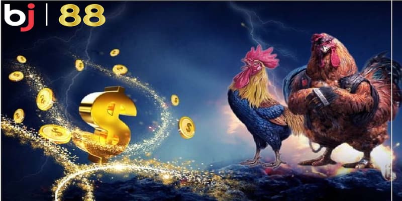 BJ88 – Sân Chơi Cá Cược Uy Tín Châu Á Với Nhiều Dịch Vụ Độc Đáo Ưu điểm nổi bật của BJ88