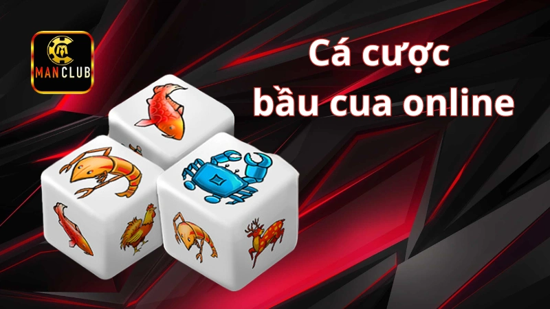 Cá cược bầu cua online: Game kiếm tiền siêu hấp dẫn bet thủ Những lưu ý quan trọng khi tham gia cá cược Bầu Cua online