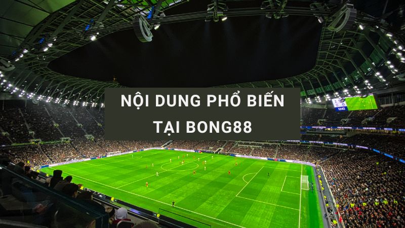 theo dõi bong88
